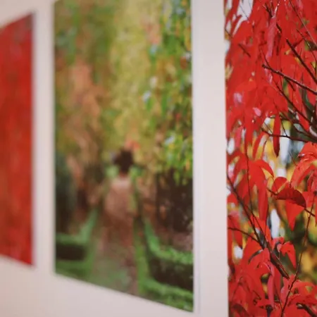 Antero Iii Rral Nº 743 *